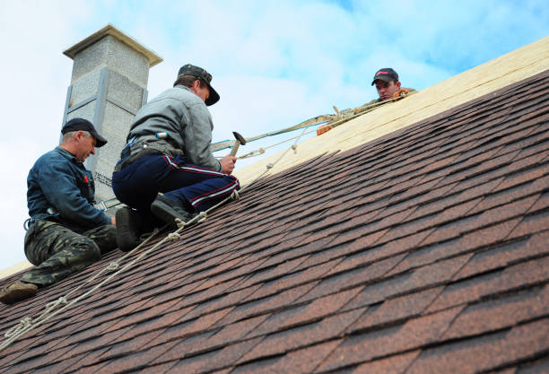 Best Gutter Installation and Roofing  in Wingdale, NY